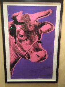 Cow, 1976