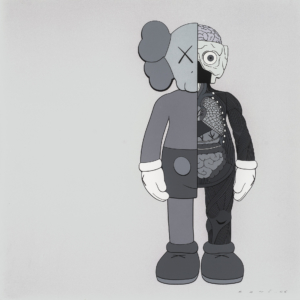 Dissected Companion (Grey), 2006