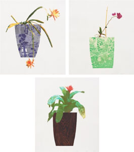 Three Landscape Pots: Night Bloom, Orchid, Bromeliad (complete set), 2019