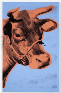 Cow, 1966