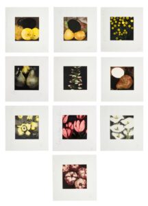 Fruits and Flowers, 1991-94