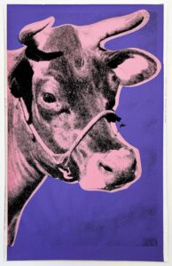 Cow, 1976