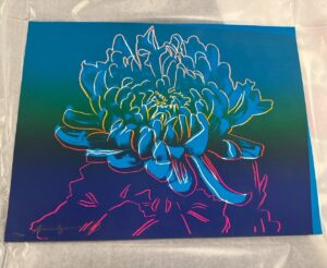 Kiku (F. & S. II.307), 1983