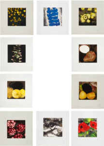 Fruits and Flowers, 1991-94