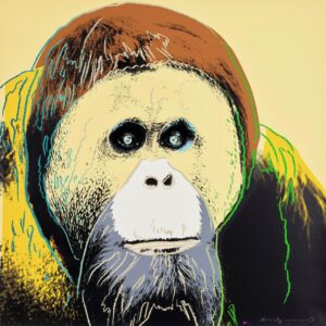 Orangutan, From Endangered Species, 1983